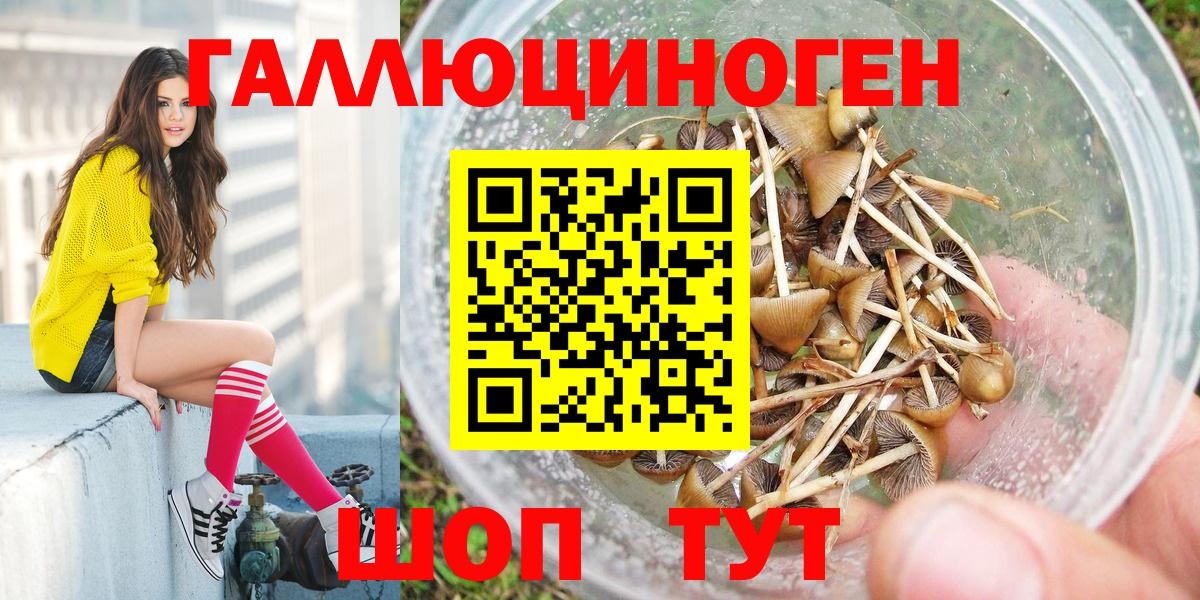 Псилоцибиновые грибы MAGIC MUSHROOMS Карачаевск